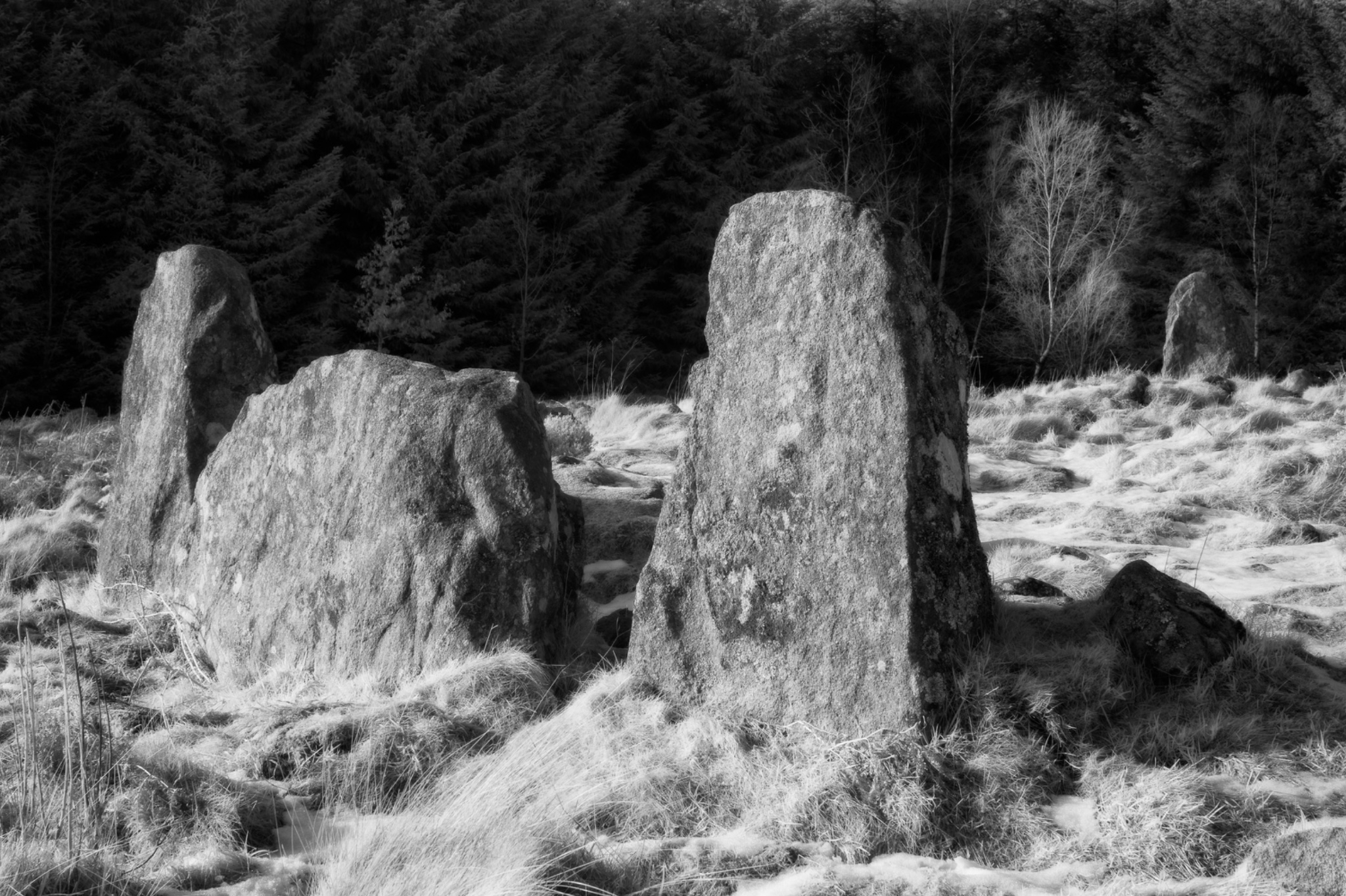 Clune hill Stone Circle, Aberdeenshire, Scotland.